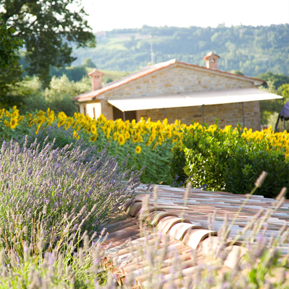 agriturismo a serra san quirico nelle marche
